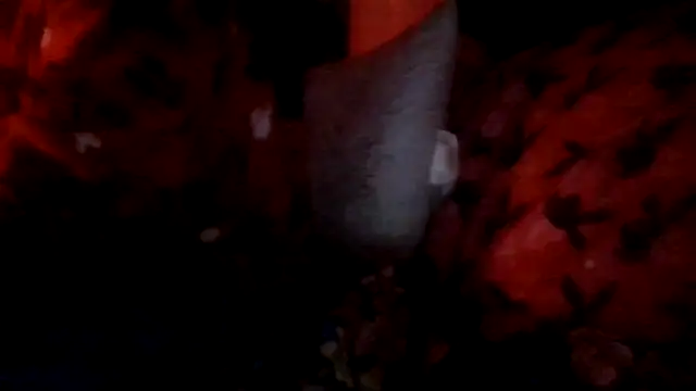 Snapshot of prettymaa chatting on October 1, 2025, 3:11 am prettymaa online show from October 1, 2025, 3:11 am