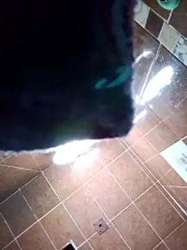 Snapshot of aispuro8505 chatting on November 28, 2025, 7:08 am aispuro8505 online show from November 28, 2025, 7:08 am