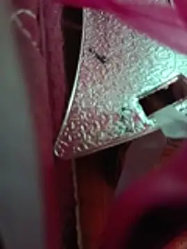 Snapshot of Lavanyaatelugu chatting on November 15, 2025, 5:11 am Lavanyaatelugu online show from November 15, 2025, 5:11 am