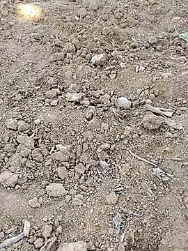 Snapshot of Shreyaaa_1 chatting on November 8, 2025, 9:02 am Shreyaaa 1 online show from November 8, 2025, 9:02 am