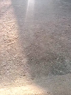 Snapshot of Shreyaaa_1 chatting on November 7, 2025, 2:16 am Shreyaaa 1 online show from November 7, 2025, 2:16 am