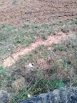 Snapshot of Shreyaaa_1 chatting on November 6, 2025, 7:23 am Shreyaaa 1 online show from November 6, 2025, 7:23 am