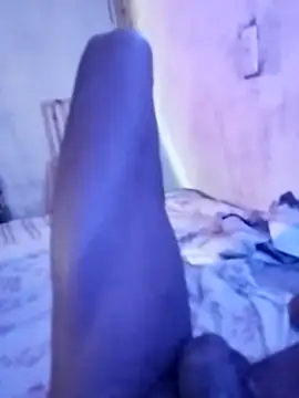 sertaonegro online show from November 15, 2025, 2:10 pm