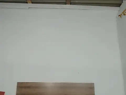 Pamelaebonyyyx online show from October 31, 2025, 7:38 am