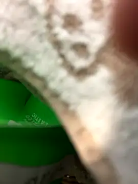 Snapshot of crashnasty chatting on November 22, 2025, 5:39 am crashnasty online show from November 22, 2025, 5:39 am