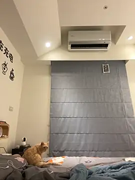 Snapshot of tw_feibaby chatting on September 12, 2025, 2:39 pm tw feibaby online show from September 12, 2025, 2:39 pm