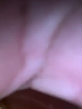 aninha21 online show from December 1, 2025, 11:00 am