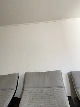 dino2603 online show from November 3, 2025, 12:20 pm