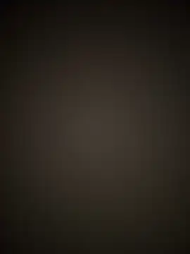 PayForThePaddy online show from November 17, 2025, 11:53 pm