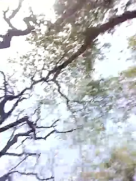 Snapshot of Hot_rachnasexy chatting on April 12, 2026, 6:05 am Hot rachnasexy online show from April 12, 2026, 6:05 am