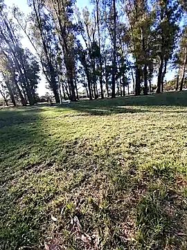 Almendrasexy online show from October 25, 2025, 8:53 pm