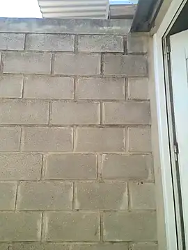 Almendrasexy online show from October 31, 2025, 5:09 pm