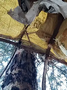 Snapshot of Janvi_Jaitly chatting on November 23, 2025, 1:15 am Janvi Jaitly online show from November 23, 2025, 1:15 am