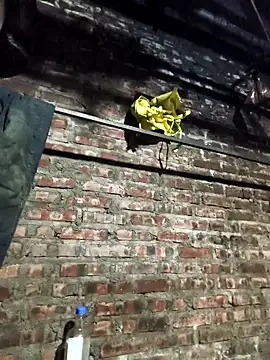 siki-00 online show from December 16, 2025, 11:47 am