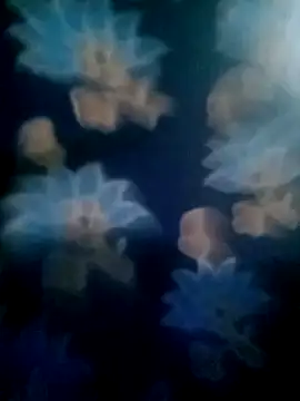 Snapshot of your_favourite_bhabhi chatting on November 2, 2025, 1:49 pm your favourite bhabhi online show from November 2, 2025, 1:49 pm