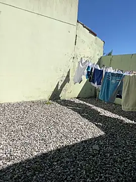 cat9269 online show from November 11, 2025, 6:03 pm