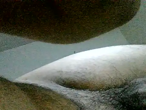 LuispingonX69 online show from June 23, 2026, 6:11 am