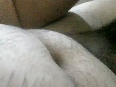 LuispingonX69 online show from June 17, 2026, 9:47 pm