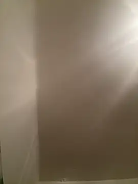 SophiiaStarr online show from February 17, 2026, 8:17 pm