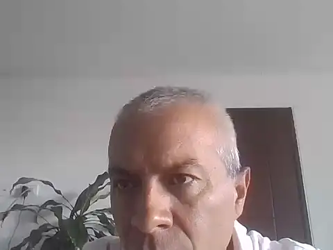 ALFRERM online show from October 12, 2025, 7:37 pm