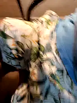 Snapshot of Gallo001 chatting on December 16, 2025, 11:03 am Gallo001 online show from December 16, 2025, 11:03 am