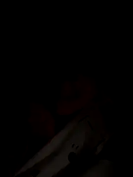 Dakota Evanns online show from November 28, 2025, 6:24 am