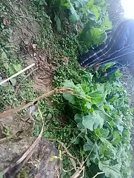 Snapshot of kemtuoi-sex chatting on January 17, 2026, 10:30 am kemtuoi-sex online show from January 17, 2026, 10:30 am