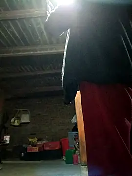 Snapshot of kemtuoi-sex chatting on November 3, 2025, 1:58 pm kemtuoi-sex online show from November 3, 2025, 1:58 pm