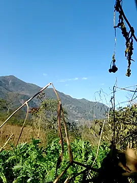 Snapshot of kemtuoi-sex chatting on February 5, 2026, 8:10 am kemtuoi-sex online show from February 5, 2026, 8:10 am