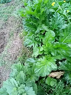 Snapshot of kemtuoi-sex chatting on February 22, 2026, 10:17 am kemtuoi-sex online show from February 22, 2026, 10:17 am