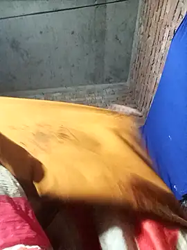 Snapshot of Notyriya7 chatting on November 2, 2025, 4:34 pm Notyriya7 online show from November 2, 2025, 4:34 pm