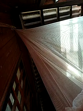 kata-00 online show from January 18, 2026, 5:44 am