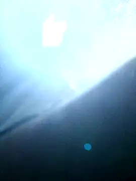 Freedomvim online show from October 22, 2025, 5:18 am