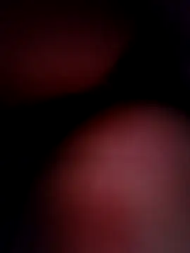 Snapshot of YUTELX chatting on September 10, 2025, 12:48 pm YUTELX online show from September 10, 2025, 12:48 pm