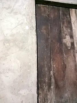 riso-00 online show from March 30, 2026, 11:44 am