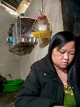 riso-00 online show from January 9, 2026, 6:53 am