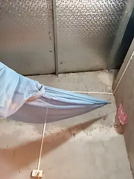 Snapshot of SSexykute3456 chatting on November 30, 2025, 5:14 pm SSexykute3456 online show from November 30, 2025, 5:14 pm