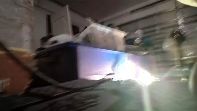 jasoncali305 online show from September 19, 2025, 6:39 am