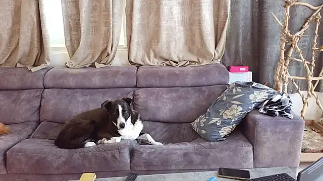 Alexis21821 online show from February 27, 2026, 8:14 am