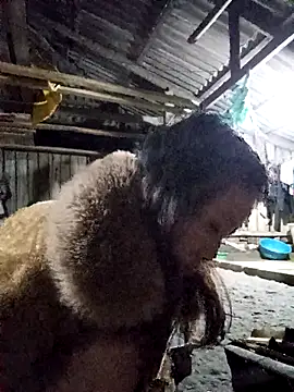 Snapshot of bonnie-00 chatting on November 14, 2025, 10:46 pm bonnie-00 online show from November 14, 2025, 10:46 pm