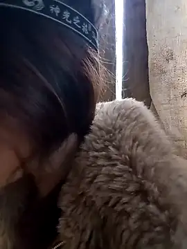 Snapshot of bonnie-00 chatting on December 14, 2025, 9:04 am bonnie-00 online show from December 14, 2025, 9:04 am