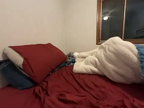 Snapshot of Adam_Phoenix chatting on February 2, 2026, 5:17 am Adam Phoenix online show from February 2, 2026, 5:17 am