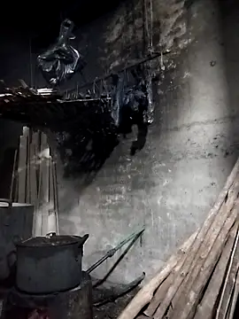 Snapshot of Dung_x chatting on March 28, 2026, 1:01 pm Dung x online show from March 28, 2026, 1:01 pm