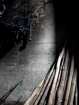 Snapshot of Dung_x chatting on March 27, 2026, 1:45 pm Dung x online show from March 27, 2026, 1:45 pm