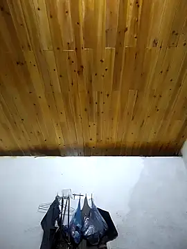 Snapshot of Dung_x chatting on October 4, 2025, 11:56 am Dung x online show from October 4, 2025, 11:56 am