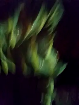 Snapshot of Saloni-Gupta chatting on September 22, 2025, 3:40 pm Saloni-Gupta online show from September 22, 2025, 3:40 pm