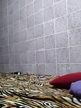 Snapshot of Cachorrinha2025 chatting on November 12, 2025, 1:43 am Cachorrinha2025 online show from November 12, 2025, 1:43 am