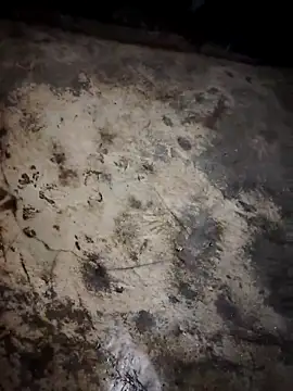 Nehal979 online show from March 13, 2026, 7:52 pm