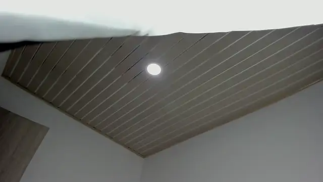 evelynrojas online show from September 18, 2025, 8:01 pm