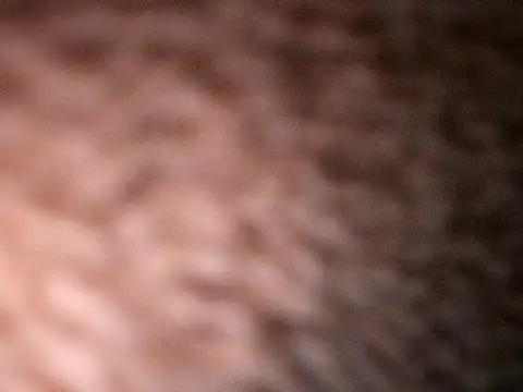 Snapshot of Milenvs chatting on October 20, 2025, 7:53 am Milenvs online show from October 20, 2025, 7:53 am